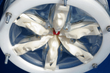 Cunningly shaped moulding wheels deform a rod of paste